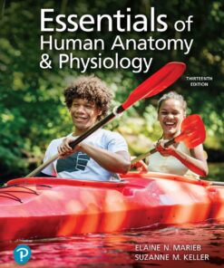 Essentials of Human Anatomy & Physiology 13th Edition - Original PDF ebook