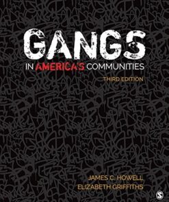 Gangs in America′s Communities 3rd Edition - Original PDF ebook